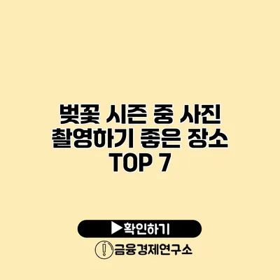 벚꽃 시즌 중 사진 촬영하기 좋은 장소 TOP 7