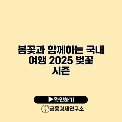 봄꽃과 함께하는 국내 여행 2025 벚꽃 시즌