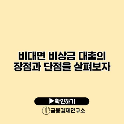 비대면 비상금 대출의 장점과 단점을 살펴보자