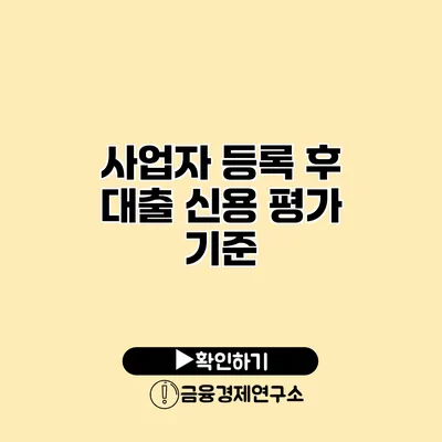 사업자 등록 후 대출 신용 평가 기준