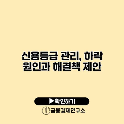 신용등급 관리, 하락 원인과 해결책 제안