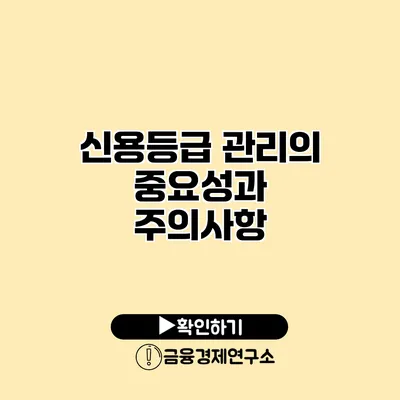 신용등급 관리의 중요성과 주의사항