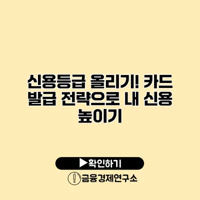 신용등급 올리기! 카드 발급 전략으로 내 신용 높이기