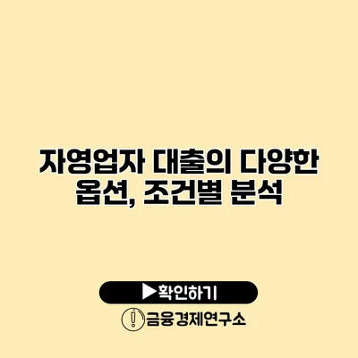 자영업자 대출의 다양한 옵션, 조건별 분석