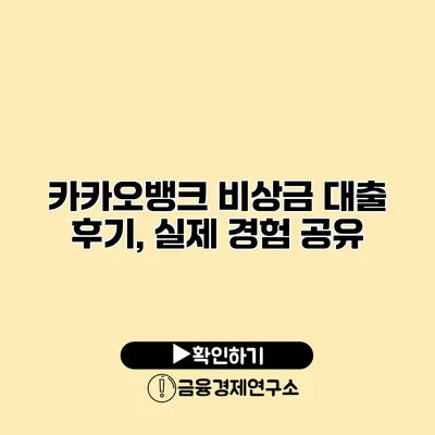 카카오뱅크 비상금 대출 후기, 실제 경험 공유