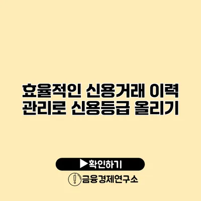 효율적인 신용거래 이력 관리로 신용등급 올리기