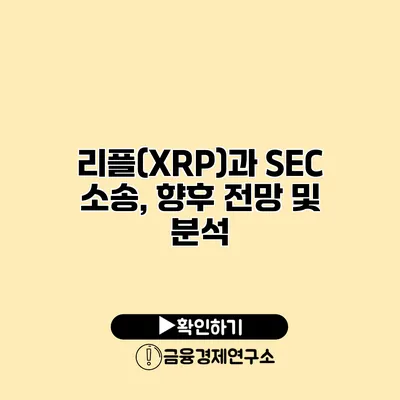 리플(XRP)과 SEC 소송, 향후 전망 및 분석