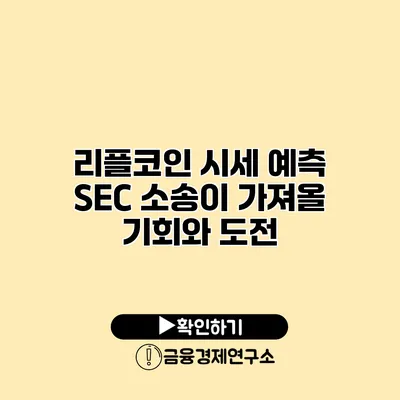 리플코인 시세 예측 SEC 소송이 가져올 기회와 도전