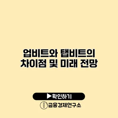 업비트와 탭비트의 차이점 및 미래 전망