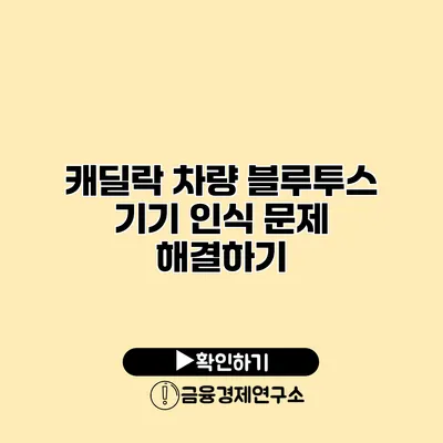 캐딜락 차량 블루투스 기기 인식 문제 해결하기