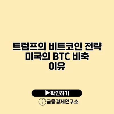 트럼프의 비트코인 전략 미국의 BTC 비축 이유